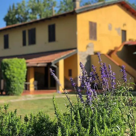 Santa Lorica - Farma Sassetta