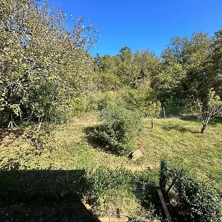 Santa Lorica - * Sassetta