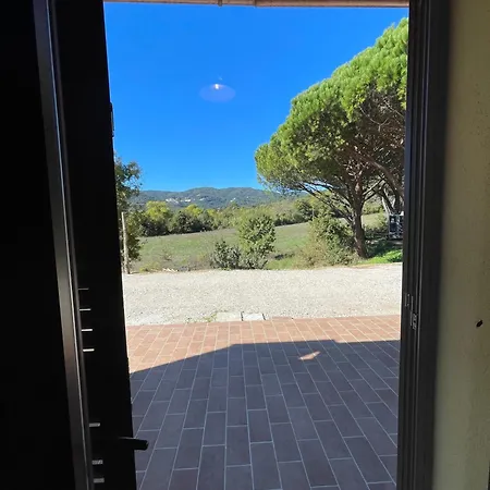 Santa Lorica - *