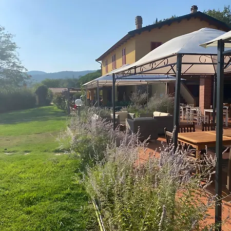 Santa Lorica - Farma Sassetta