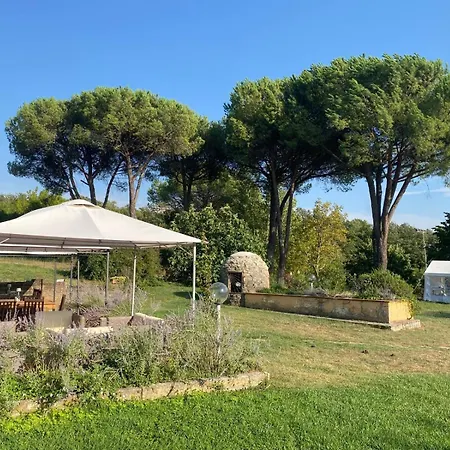 Santa Lorica - Farma Sassetta
